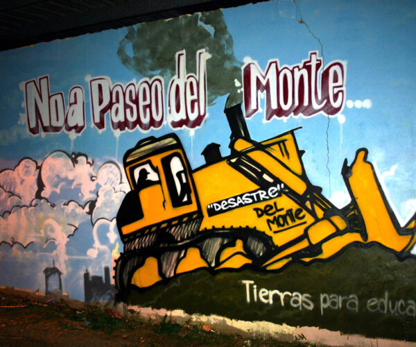 Caimito-Mural